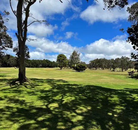 Pukeawe Cir, Volcano, HI 96718