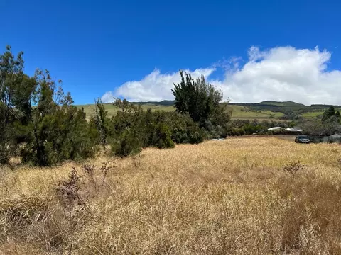 Undisclosed, Kamuela, HI 96743