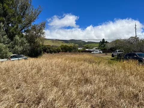 Undisclosed, Kamuela, HI 96743