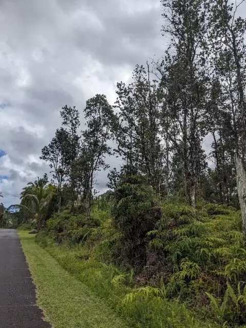 Oahu Rd, Pahoa, HI 96778