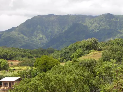 Yamanoha Rd, Kapaa, HI 96746