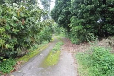Undisclosed, Kealakekua, HI 96750