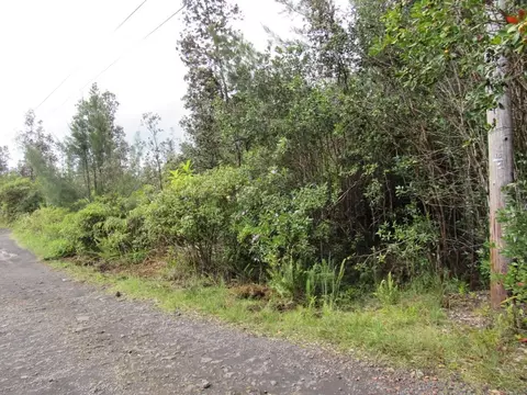 Road 5, Mountain View, HI 96760