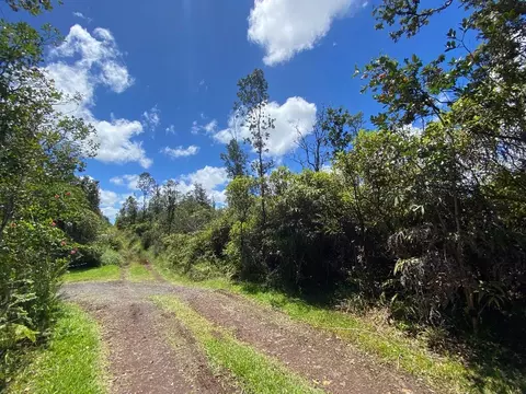 Road 6, Mountain View, HI 96760
