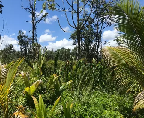 Paradise Dr, Keaau, HI 96749