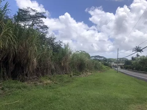 Volcano Rd, Kurtistown, HI 96760