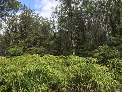Pikake St, Mountain View, HI 96771