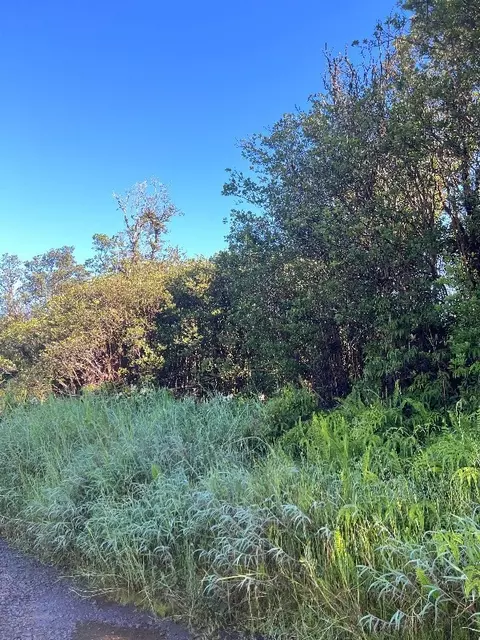 Road 3, Mt. View, HI 96771