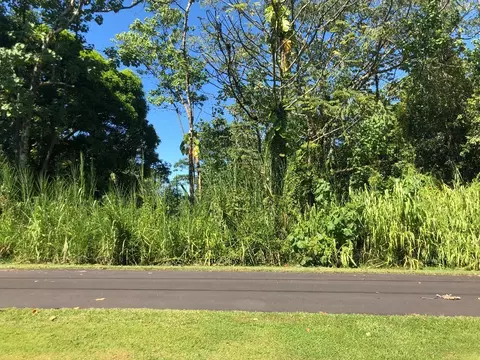 Awa St, Pahoa, HI 96778