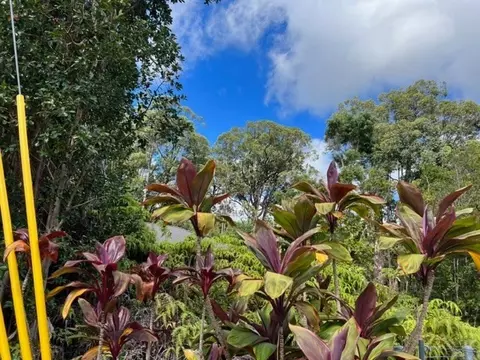 Undisclosed, Hilo, HI 96720