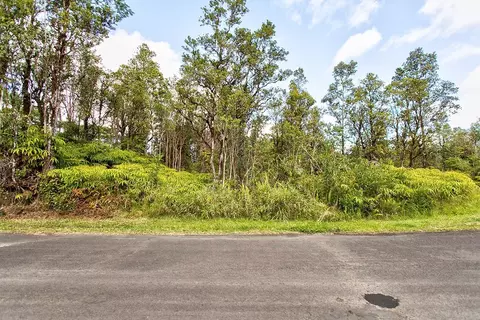 Hibiscus St, Mountain View, HI 96771