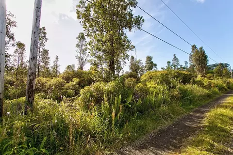 Road 2, Mountain View, HI 96760