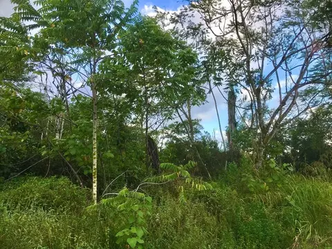 Alapai St, Pahoa, HI 96778
