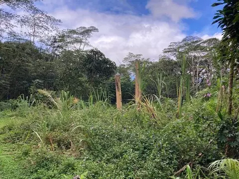 Lehua Rd, Pahoa, HI 96778