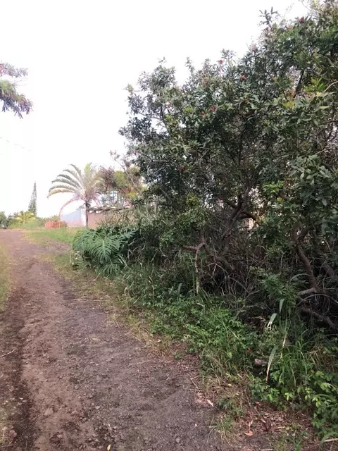 Mauka St, Naalehu, HI 96772