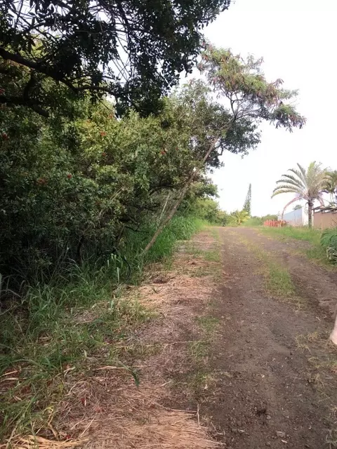 Mauka St, Naalehu, HI 96772