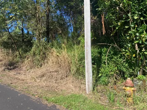 Kolenelio Rd, Mountain View, HI 96771