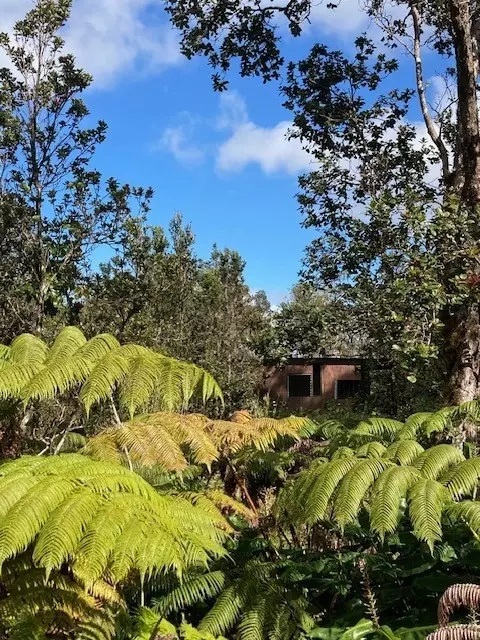 11-3060 Kanilehua Pl, Volcano, HI 96785