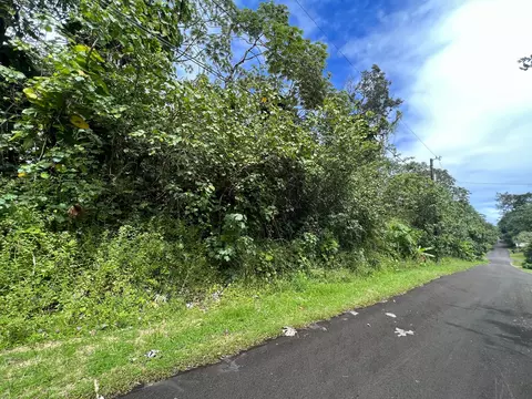 Moana St, Pahoa, HI 96778