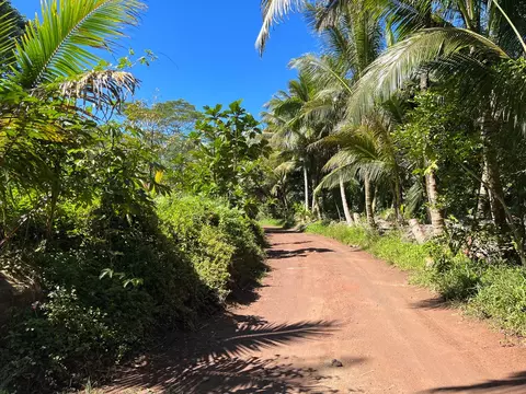 Undisclosed, Pahoa, HI 96778