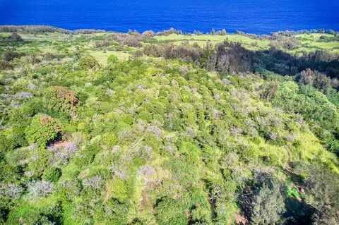 47-4536 Honokaa Waipio Rd, Honokaa, HI 96727