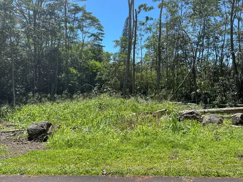 15-2894 Niuhi St, Pahoa, HI 96778