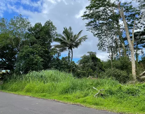 N Puni Mauka Loop, Pahoa, HI 96778
