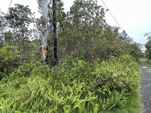 Road 11, Kurtistown, HI 96760