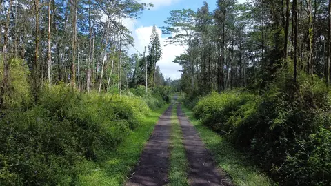 Kauai Rd, Pahoa, HI 96778