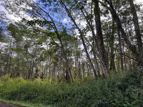 Alii Rd, Pahoa, HI 96778