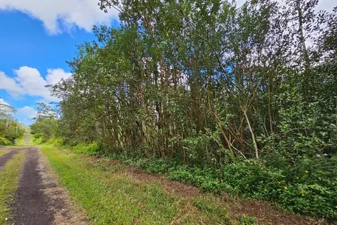 Seadrift Rd, Pahoa, HI 96778