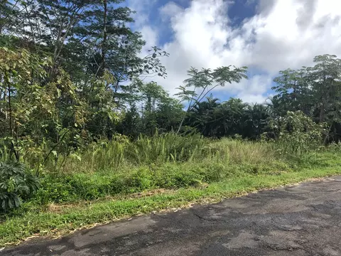 15-1889 23rd Ave, Keaau, HI 96749