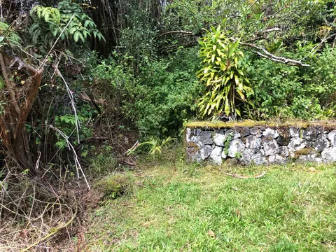 Oahu St, Mountain View, HI 96771