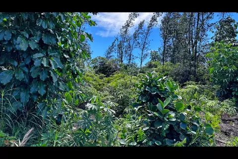 15-1478 7th Ave, Keaau, HI 96749