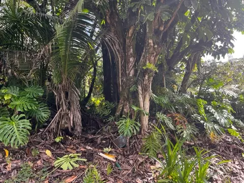 Undisclosed, Pahoa, HI 96778