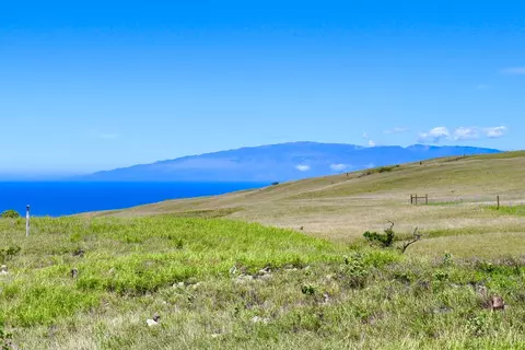 Maluhi St, Kamuela, HI 96743
