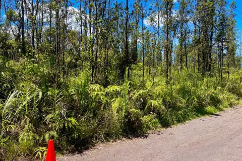 Hopue Rd, Mountain View, HI 96760