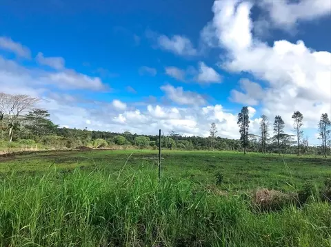 17-4839 Huina Rd, Mountain View, HI 96771
