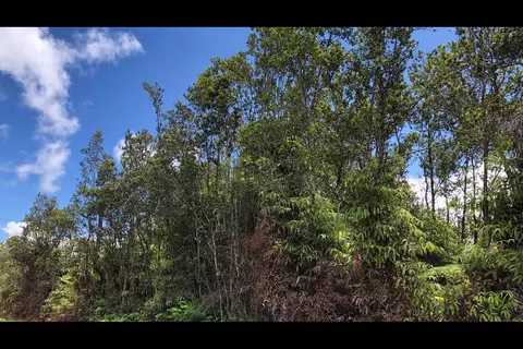 Alii Koa St, Volcano, HI 96785
