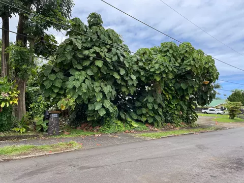314 Lehua St, Hilo, HI 96720