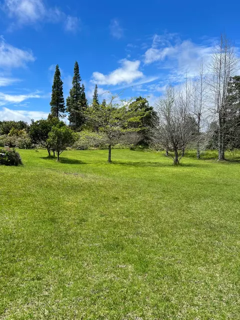 Pukeawe Cir, Hawaiian Natl Park, HI 96718
