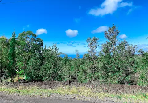 Leilani Circle Makai, Ocean View, HI 96737