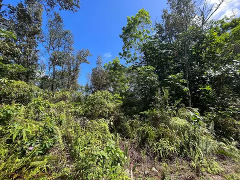 Kumu St, Pahoa, HI 96778