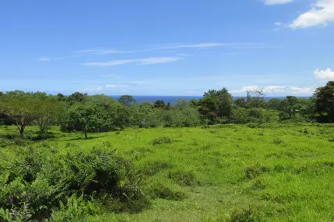 Puumoi Rd, Hilo, HI 96720