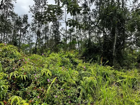 Holiday Rd, Pahoa, HI 96778