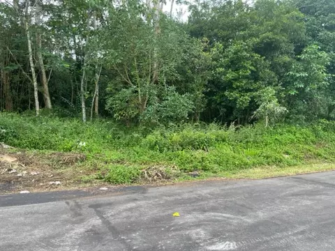 Kahala St, Pahoa, HI 96778