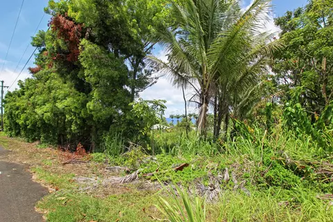 29-2264 Old Mamalahoa Hwy, Hilo, HI 96710