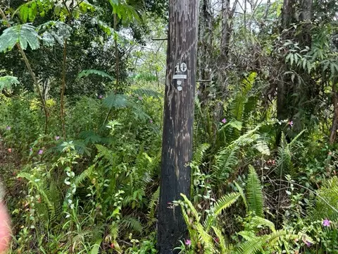 Pahoa Circle, Pahoa, HI 96778