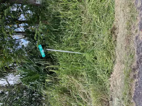 Ono St, Pahoa, HI 96778