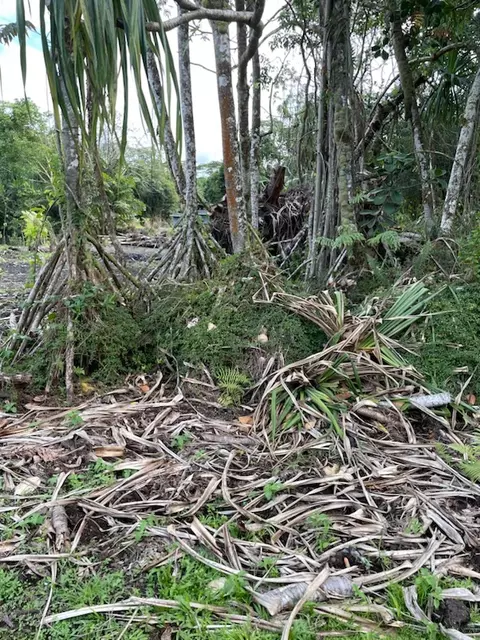 Ono St, Pahoa, HI 96778